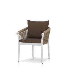 Dining Arm Chair